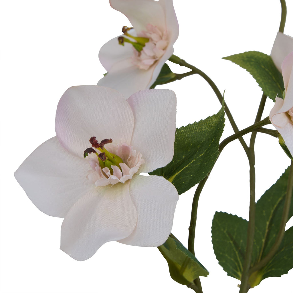 The Natural Garden Collection Pale Apricot Hellibore 47 cm