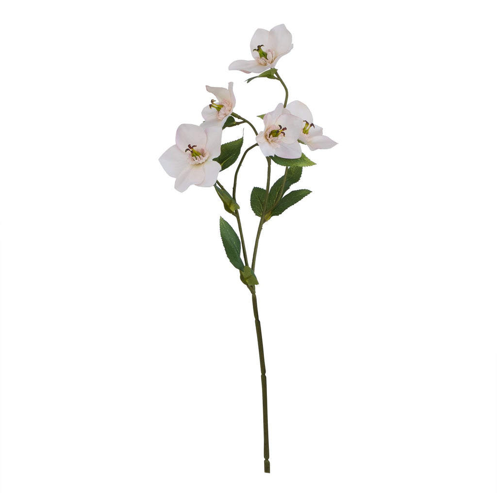 The Natural Garden Collection Pale Apricot Hellibore 47 cm