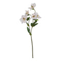 The Natural Garden Collection Pale Apricot Hellibore 47 cm