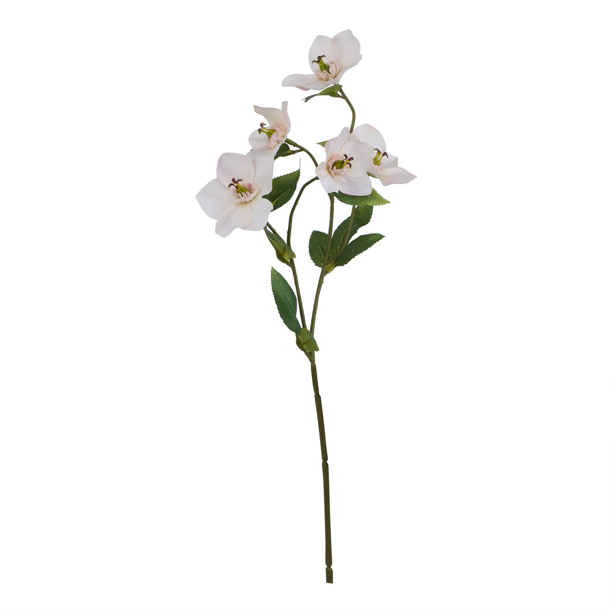 The Natural Garden Collection Pale Apricot Hellibore 47 cm