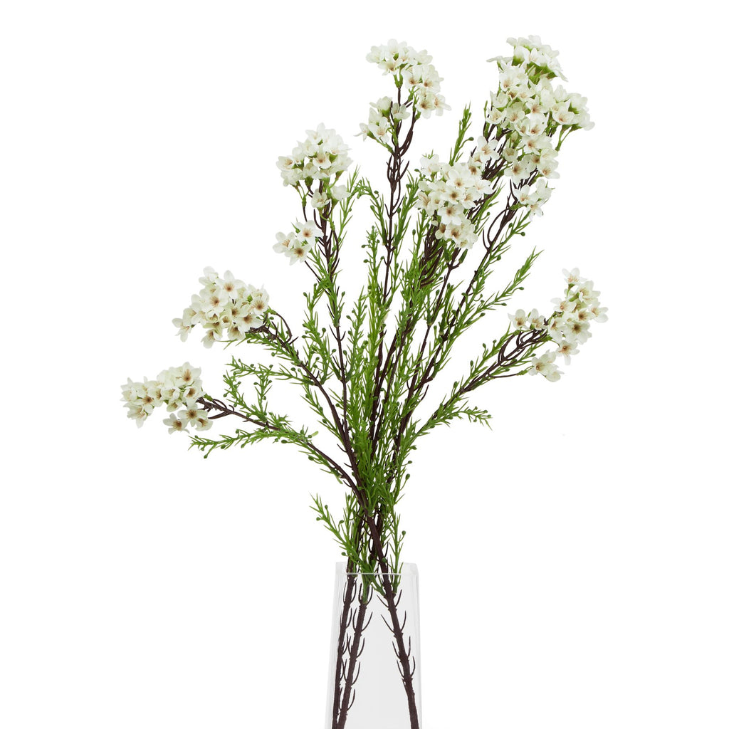 The Natural Garden Collection White Waxflower 80 cm