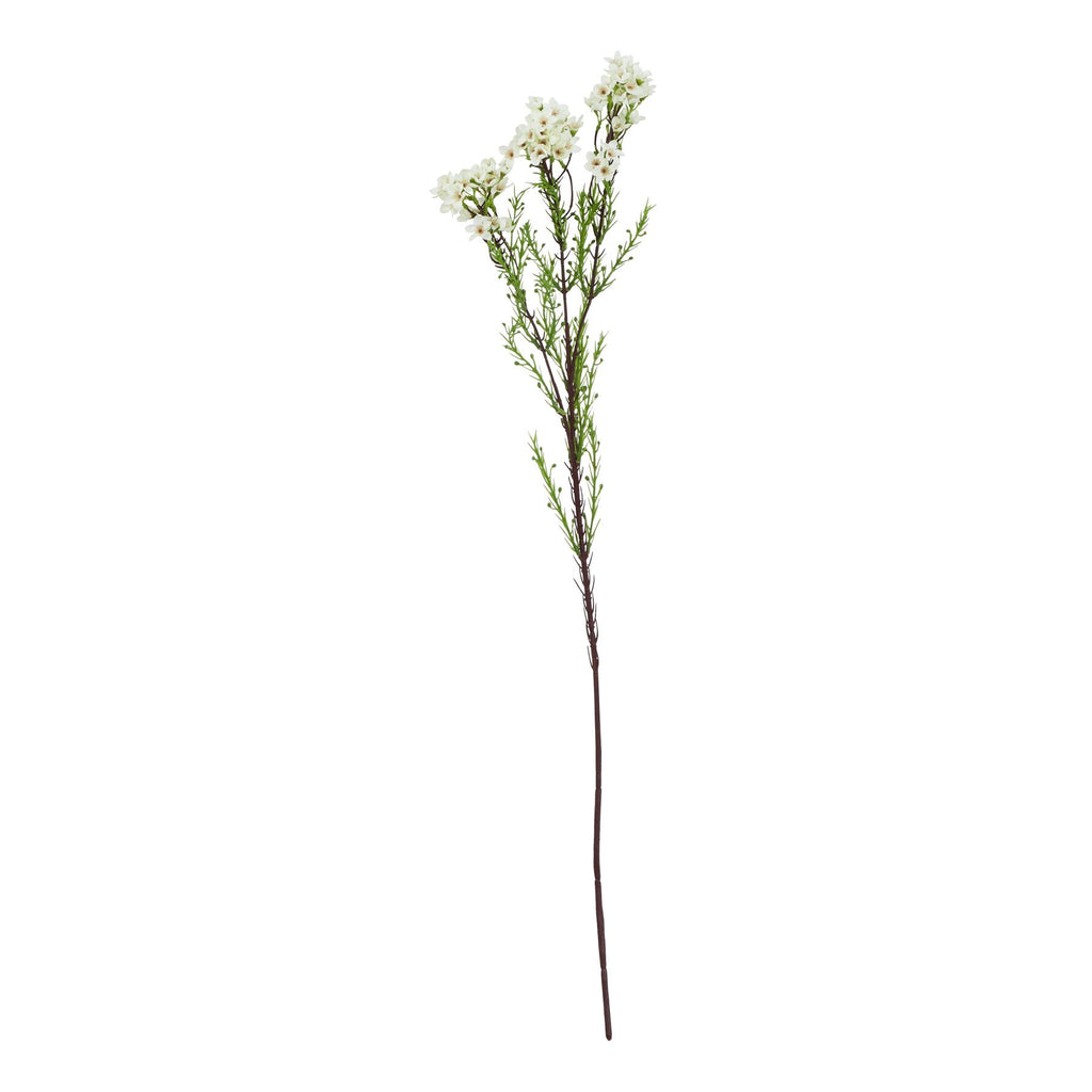 The Natural Garden Collection White Waxflower 80 cm