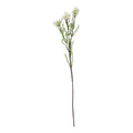 The Natural Garden Collection White Waxflower 80 cm