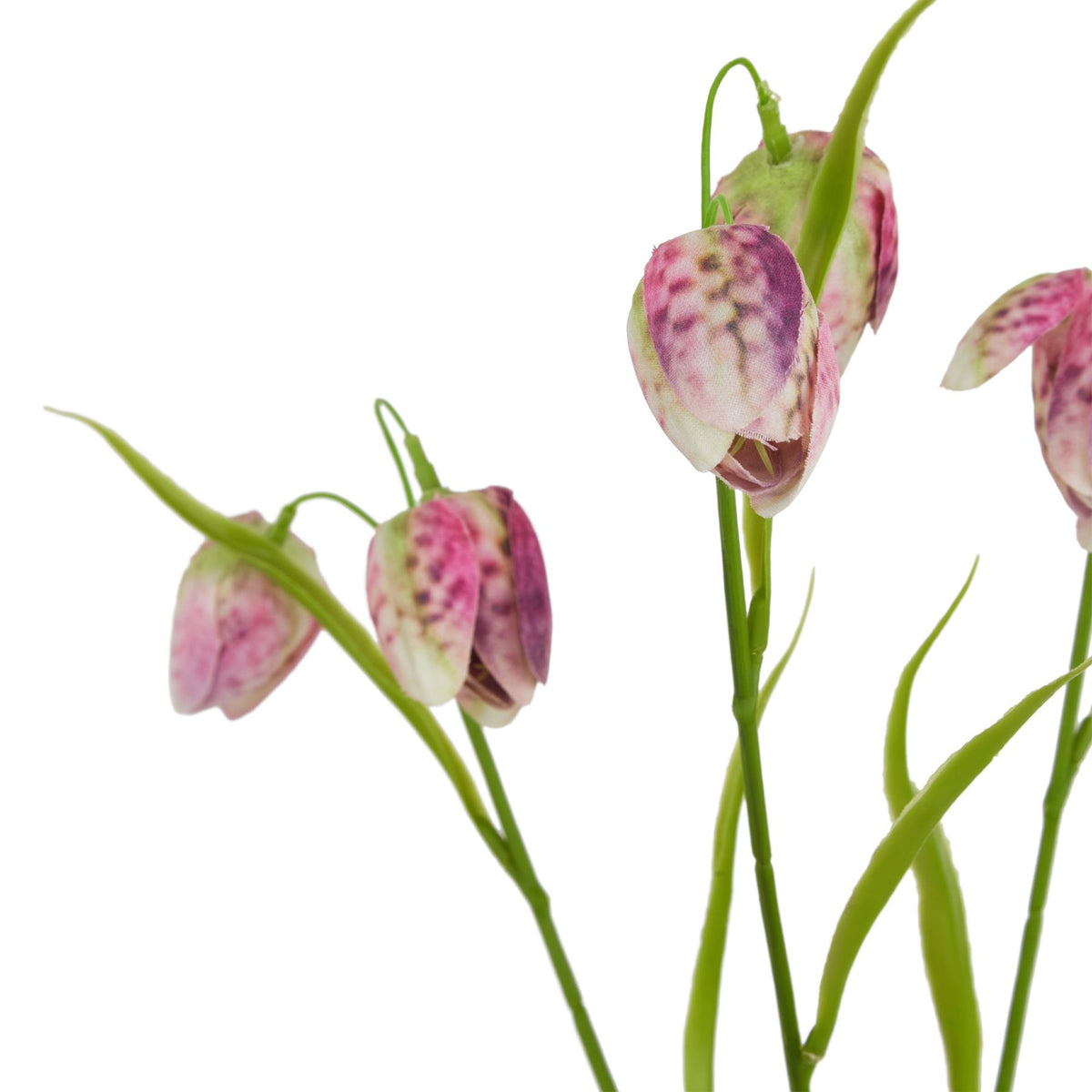 The Natural Garden Collection Purple Fritillaria Stem 58 cm