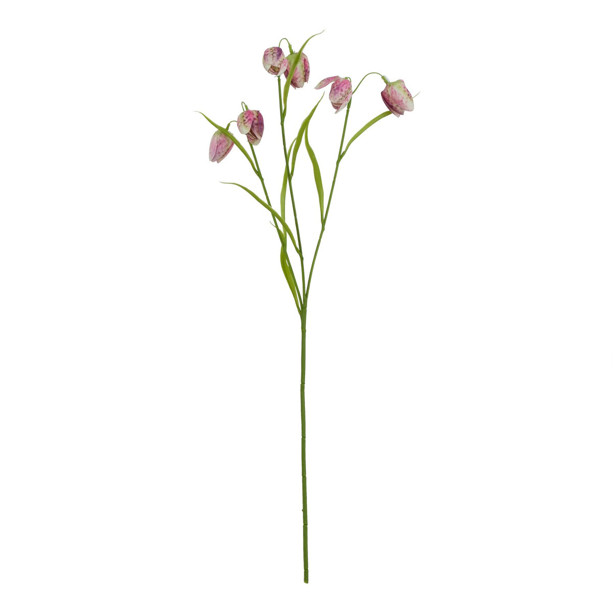 The Natural Garden Collection Purple Fritillaria Stem 58 cm