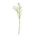 The Natural Garden Collection White Fritillaria Stem 58 cm