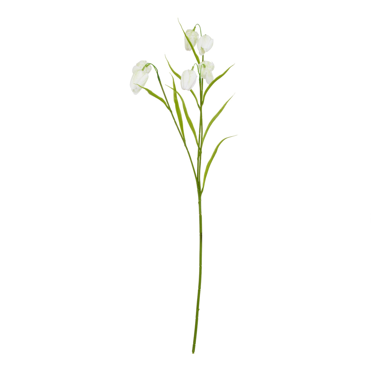 The Natural Garden Collection White Fritillaria Stem 58 cm