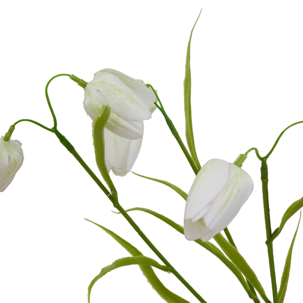 The Natural Garden Collection White Fritillaria Stem 58 cm