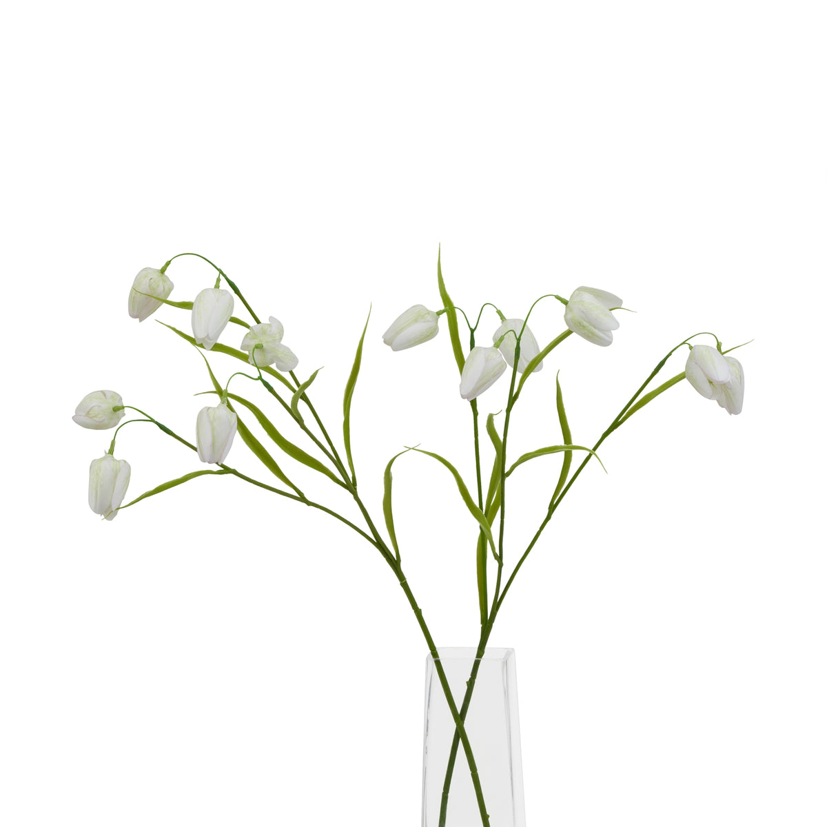 The Natural Garden Collection White Fritillaria Stem 58 cm