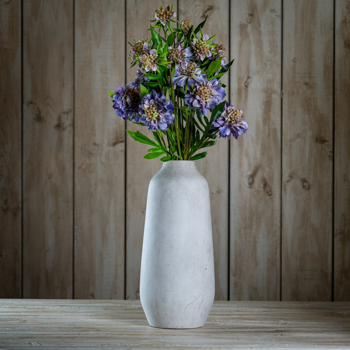 The Natural Garden Collection Purple Scabious Stem 65 cm