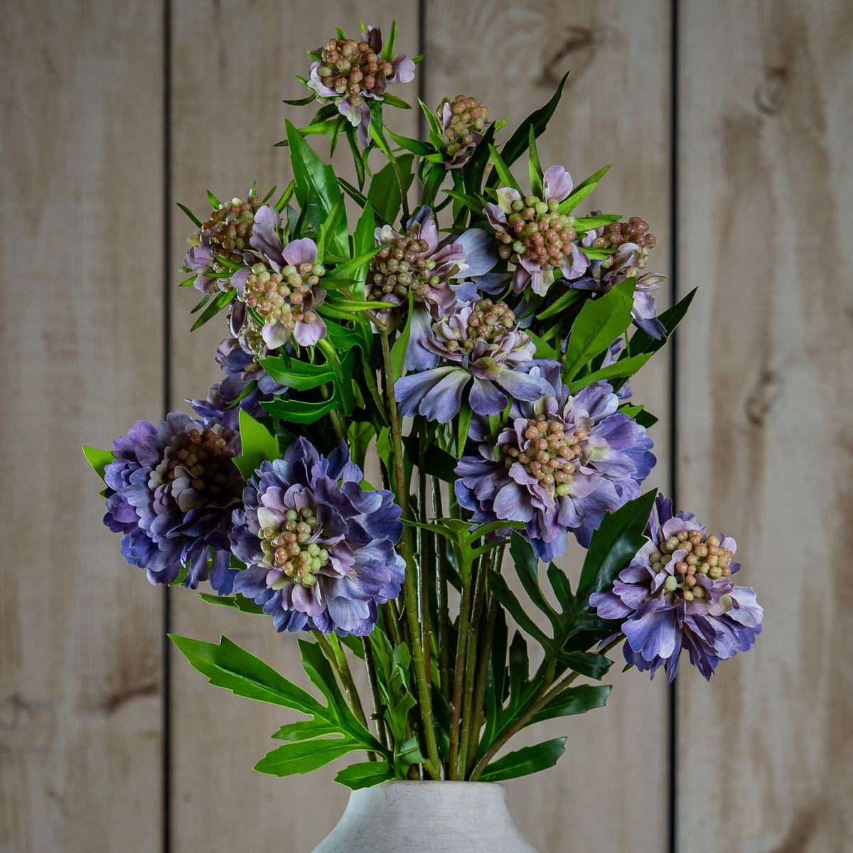 The Natural Garden Collection Purple Scabious Stem 65 cm