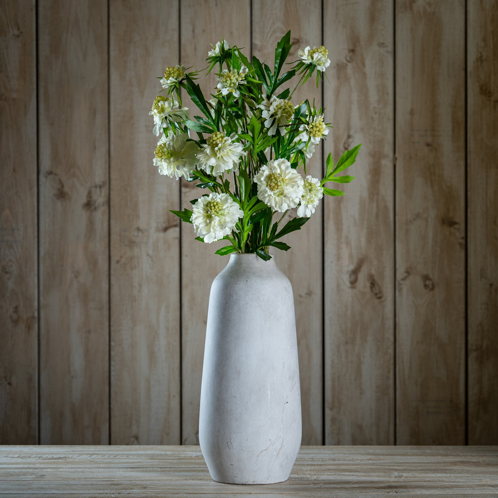 The Natural Garden Collection White Scabious Stem 65 cm