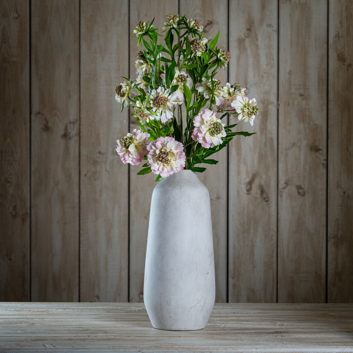 The Natural Garden Collection Pale Pink Scabious Stem 65 cm