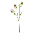 The Natural Garden Collection Pale Pink Scabious Stem 65 cm