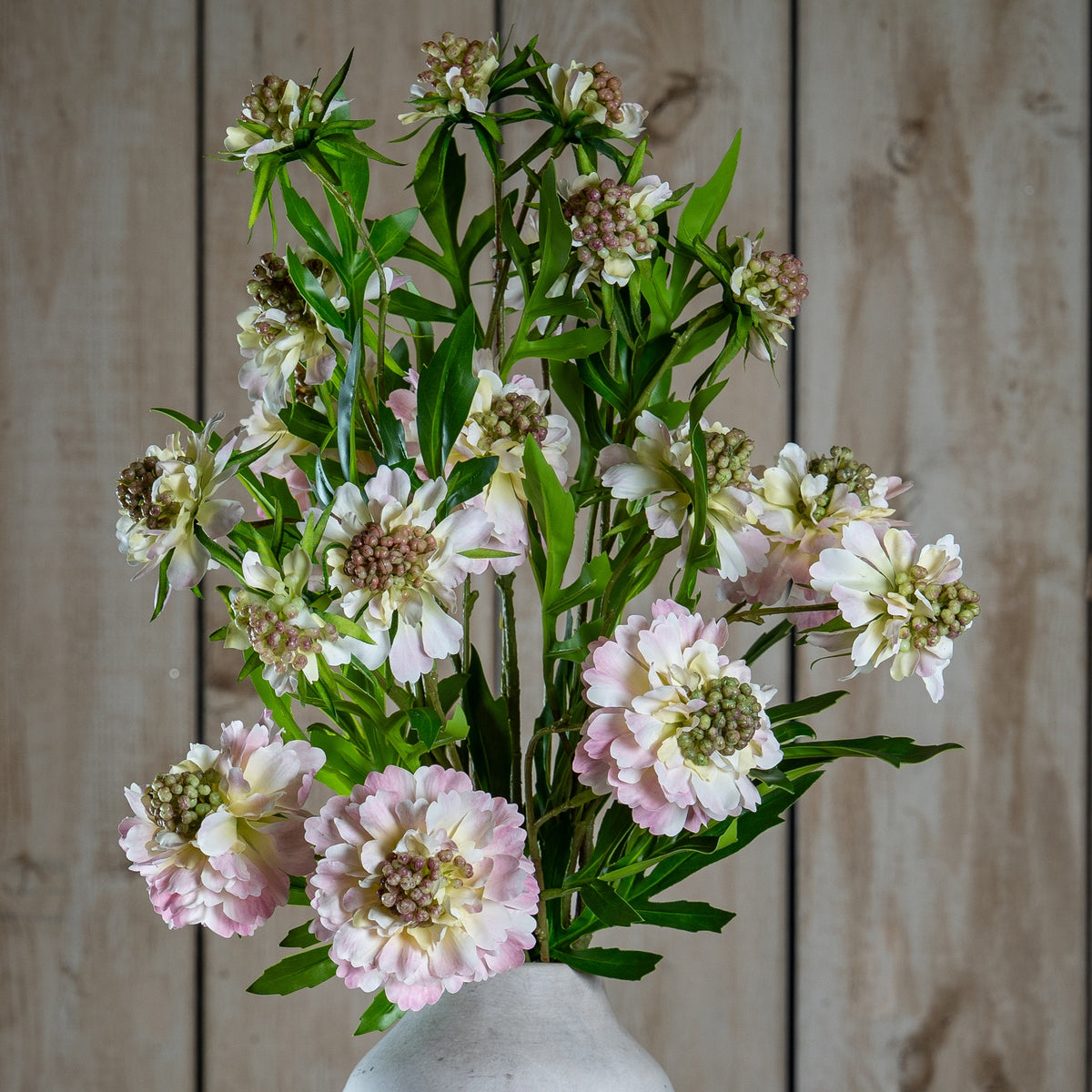 The Natural Garden Collection Pale Pink Scabious Stem 65 cm