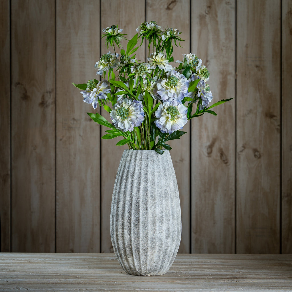 Pale Blue Scabious Stem 65 cm