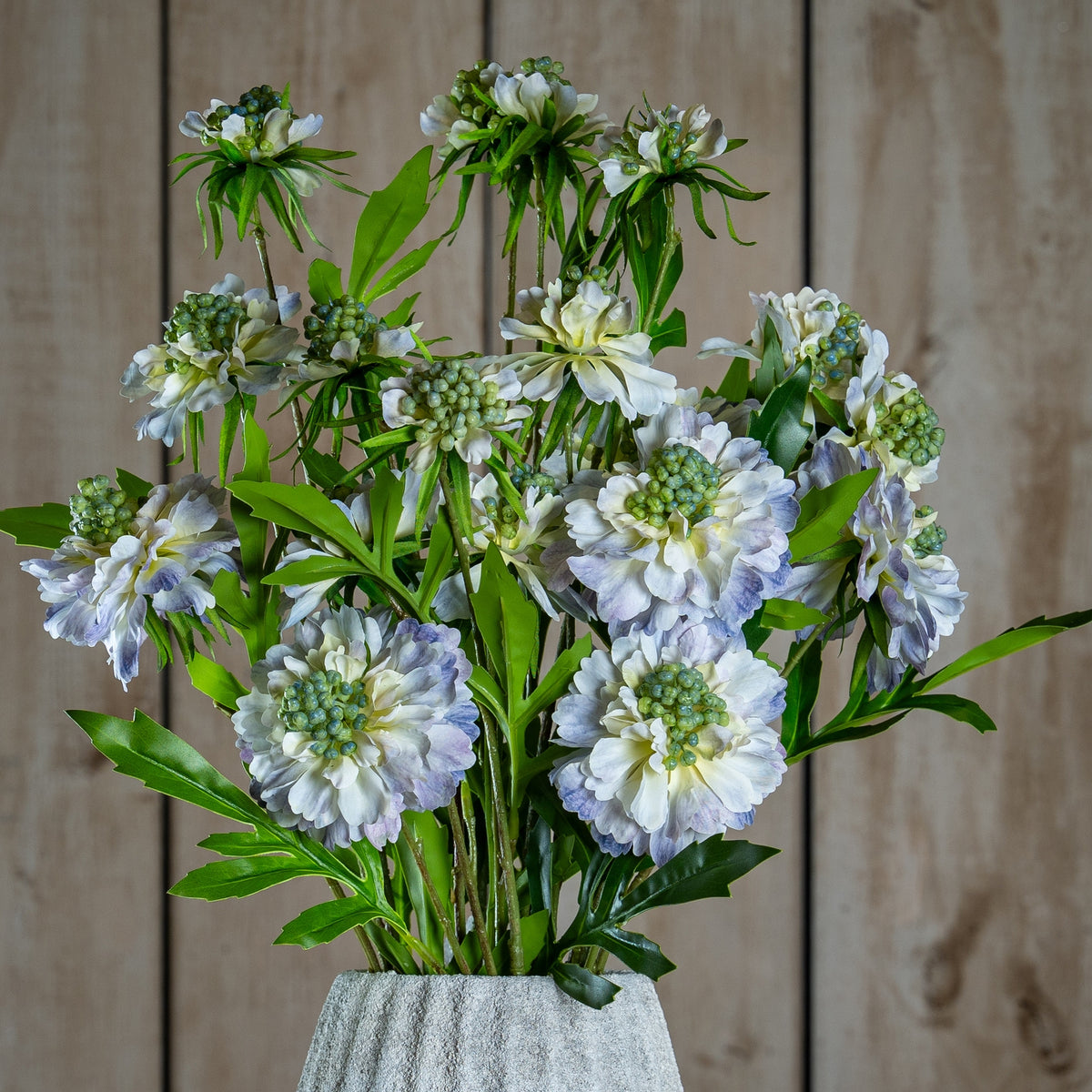 Pale Blue Scabious Stem 65 cm