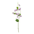 The Natural Garden Collection Purple Sweetpea Stem 61 cm
