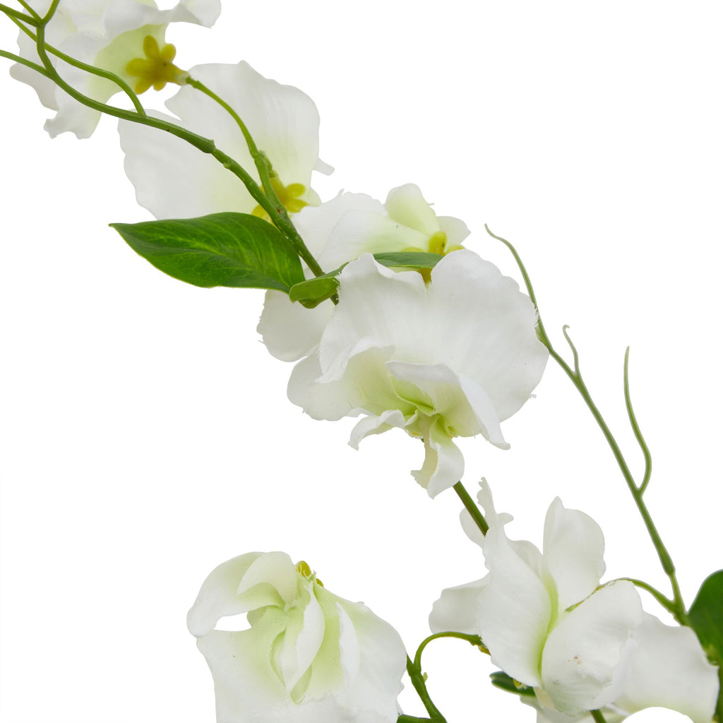 The Natural Garden Collection White Sweetpea Stem 61 cm