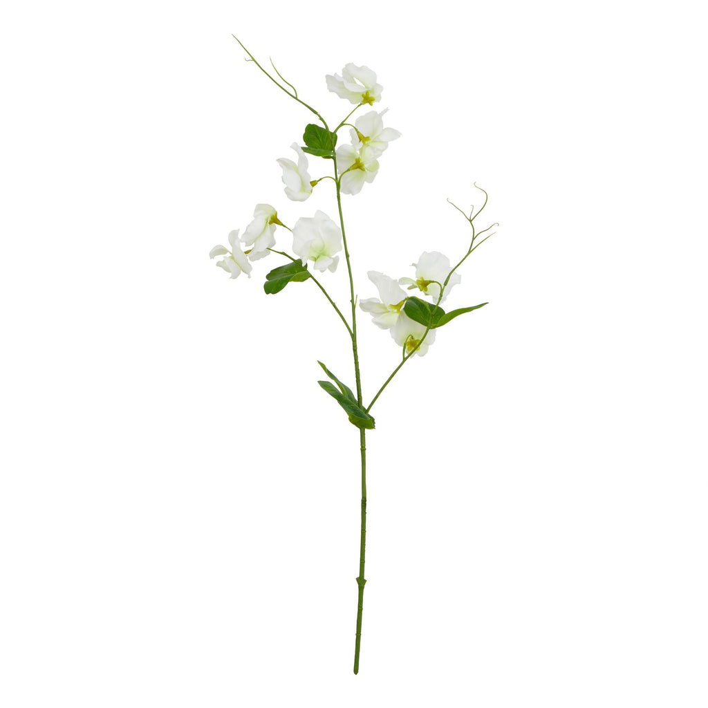 The Natural Garden Collection White Sweetpea Stem 61 cm