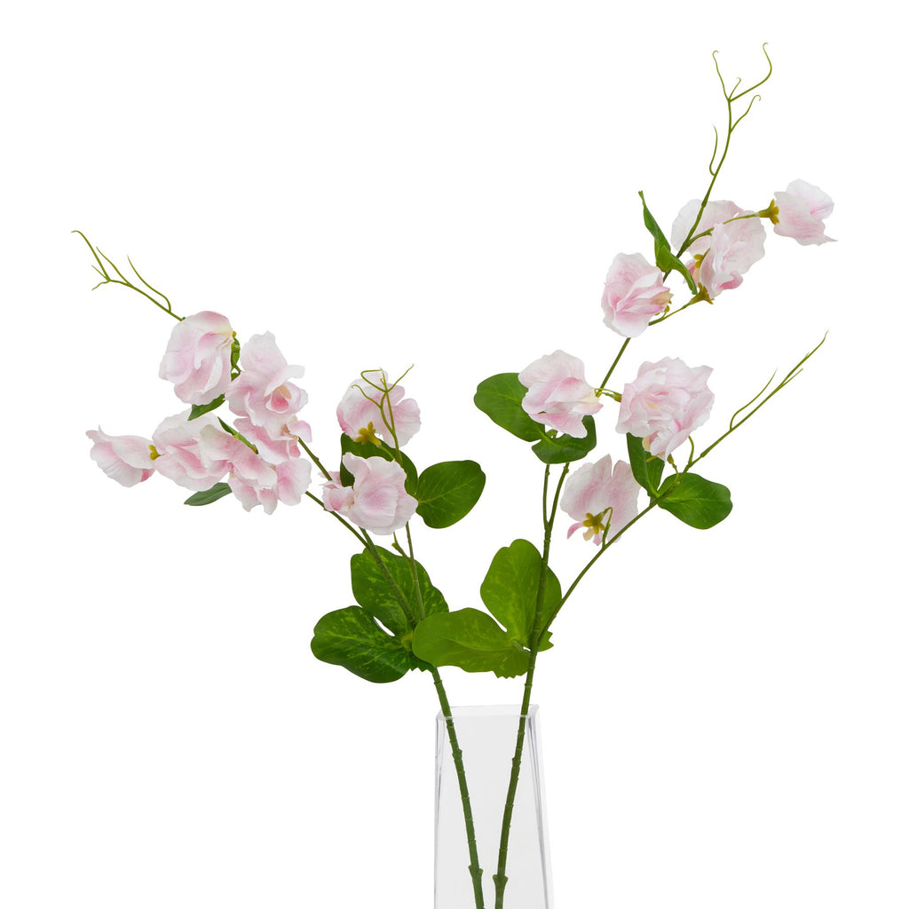 The Natural Garden Collection Pale Pink Sweetpea Stem 61 cm