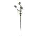 The Natural Garden Collection Purple Nigella Love In A Mist 68 cm