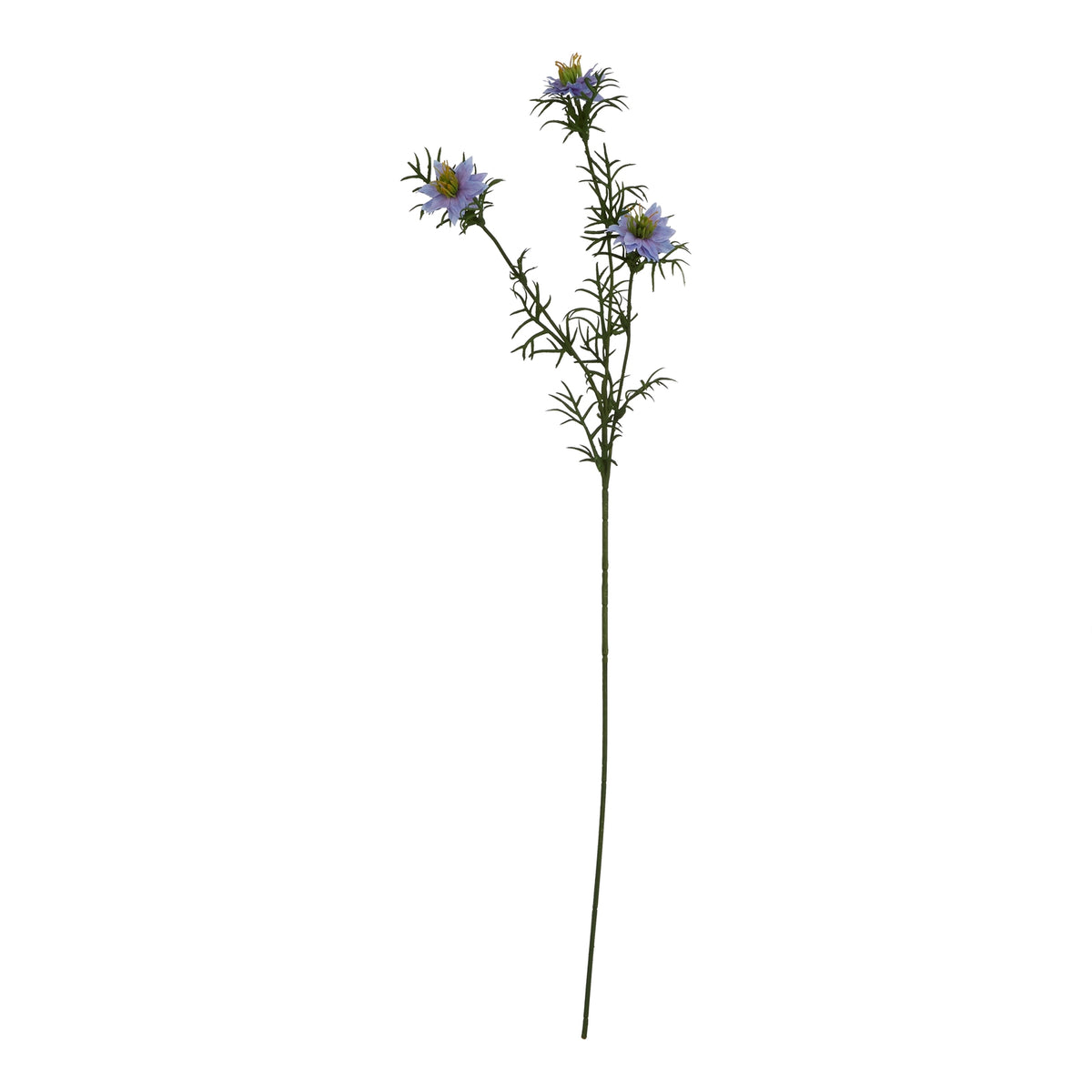 The Natural Garden Collection Purple Nigella Love In A Mist 68 cm