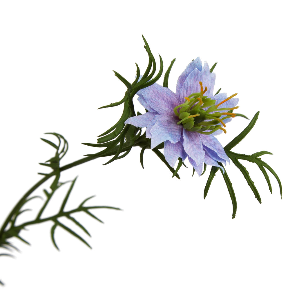 The Natural Garden Collection Purple Nigella Love In A Mist 68 cm