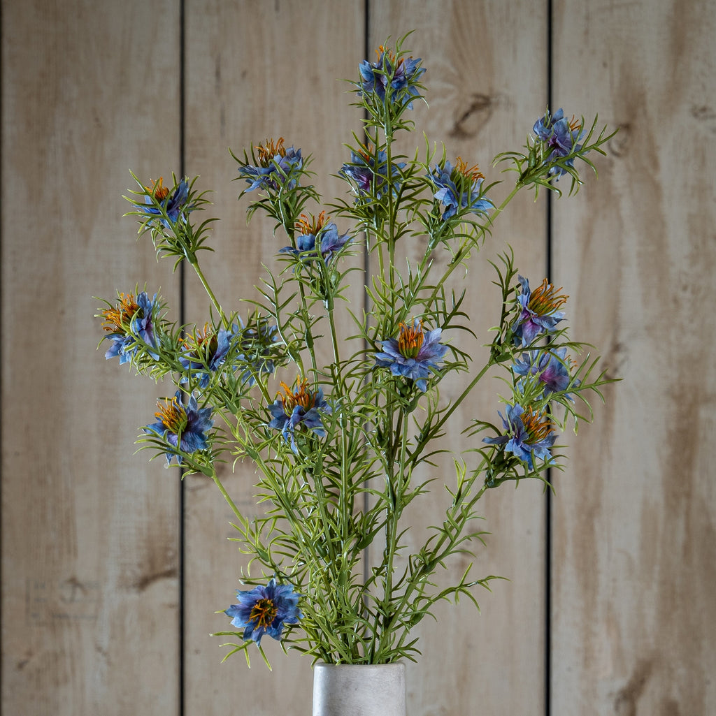 The Natural Garden Collection Purple Nigella Love In A Mist 68 cm
