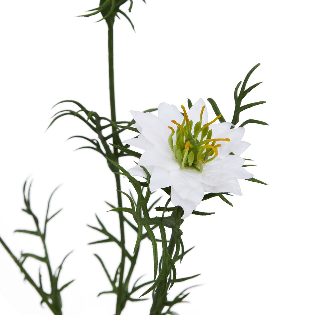 The Natural Garden Collection White Nigella Love In A Mist 68 cm