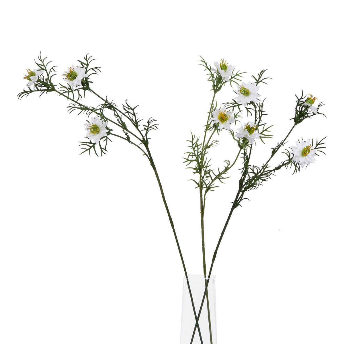 The Natural Garden Collection White Nigella Love In A Mist 68 cm
