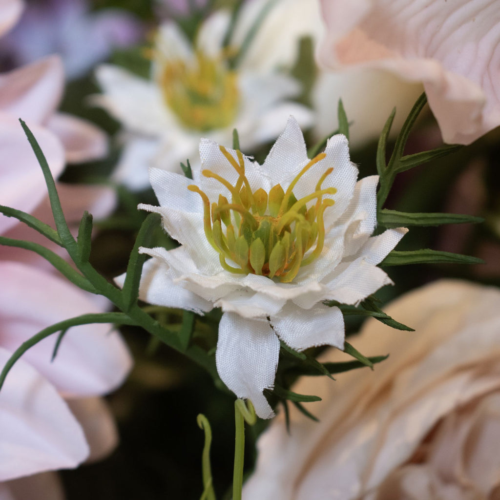 The Natural Garden Collection White Nigella Love In A Mist 68 cm