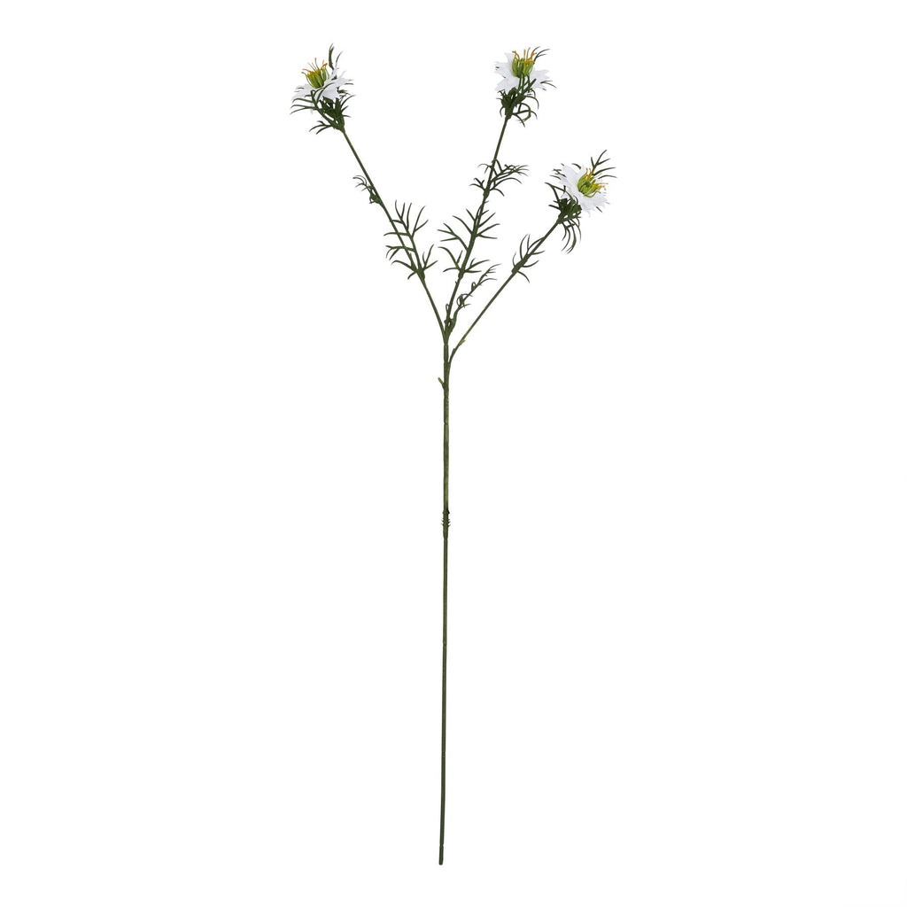 The Natural Garden Collection White Nigella Love In A Mist 68 cm