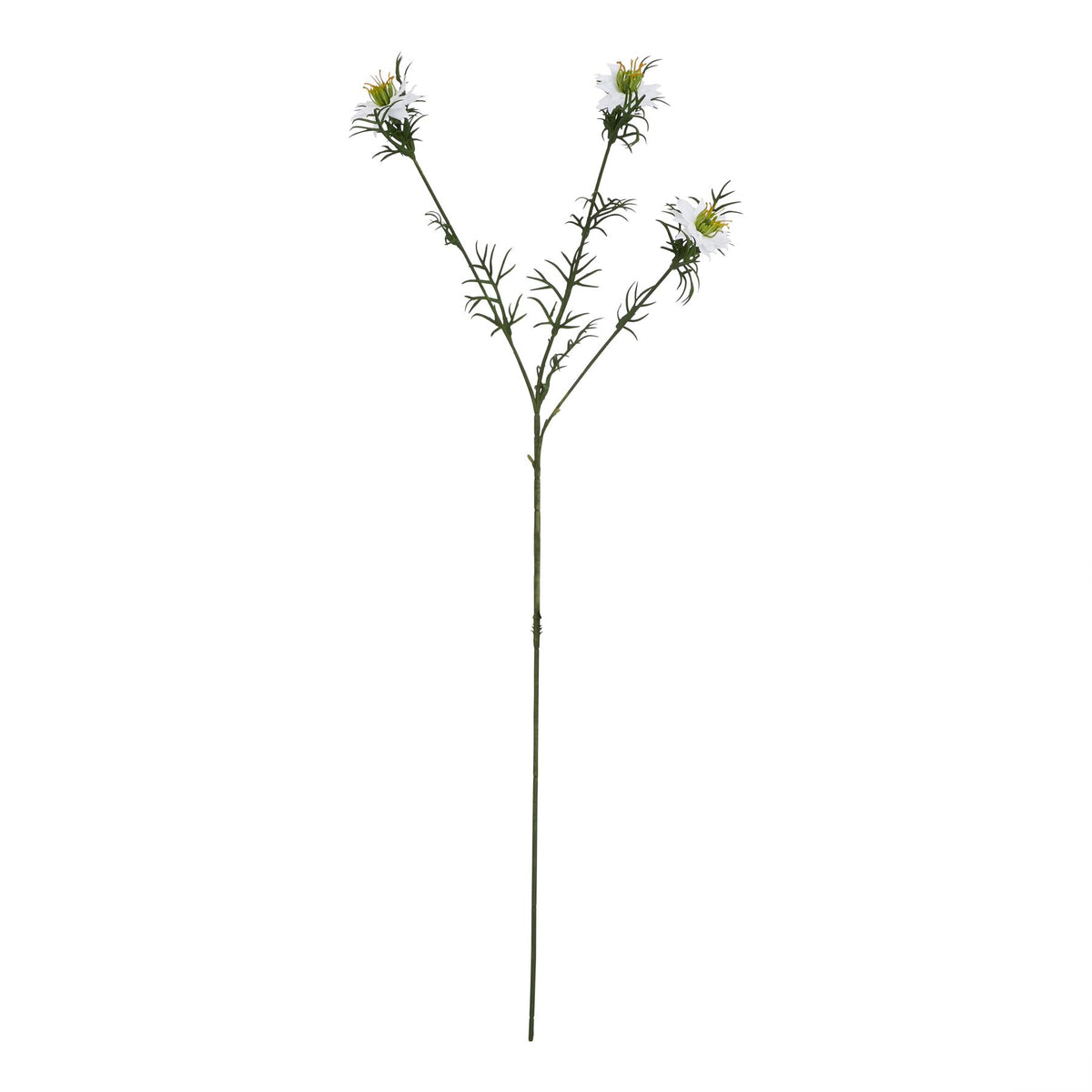The Natural Garden Collection White Nigella Love In A Mist 68 cm