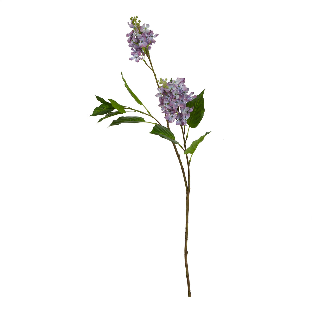 The Natural Garden Collection Purple Lilac Stem 75 cm