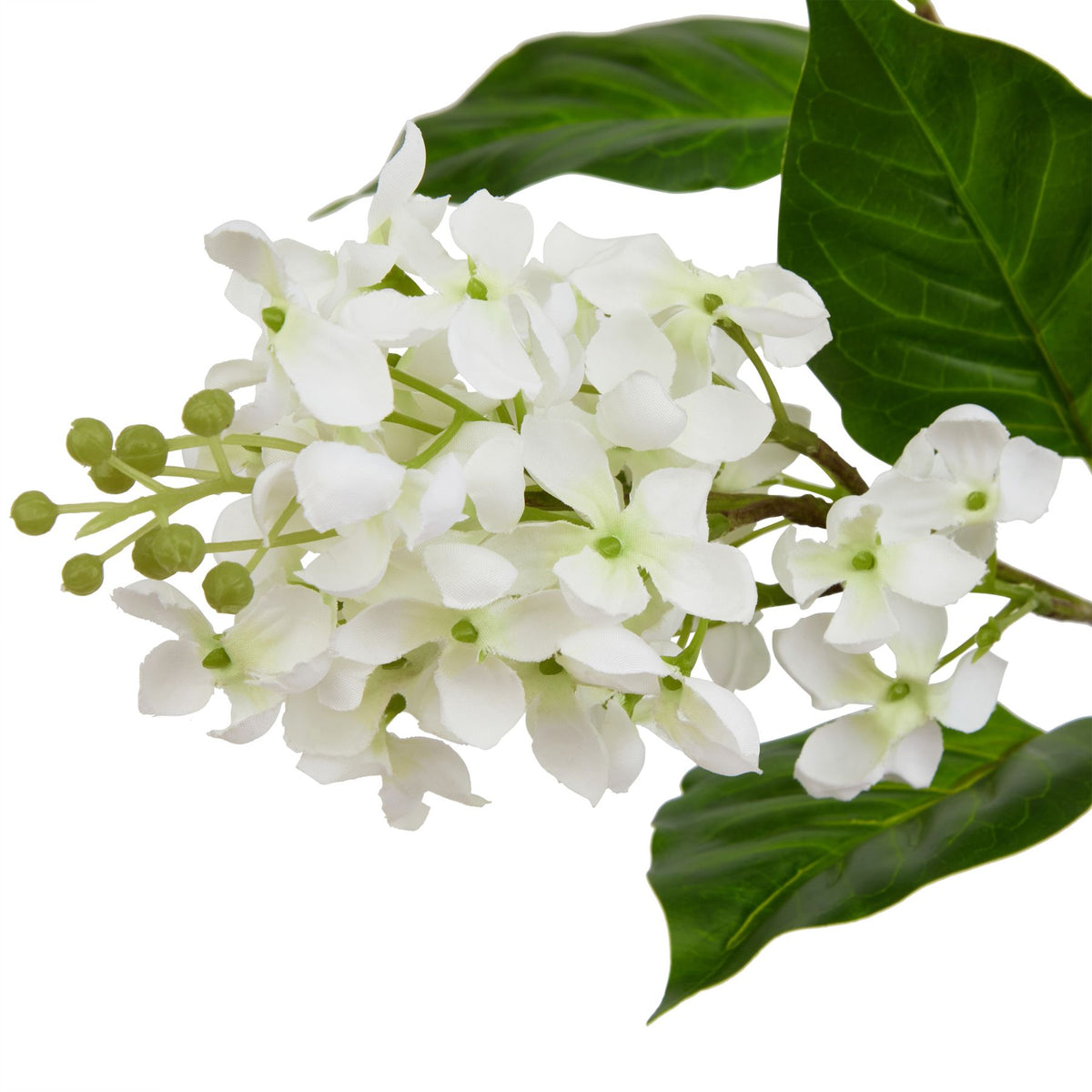 The Natural Garden Collection White Lilac Stem 75 cm