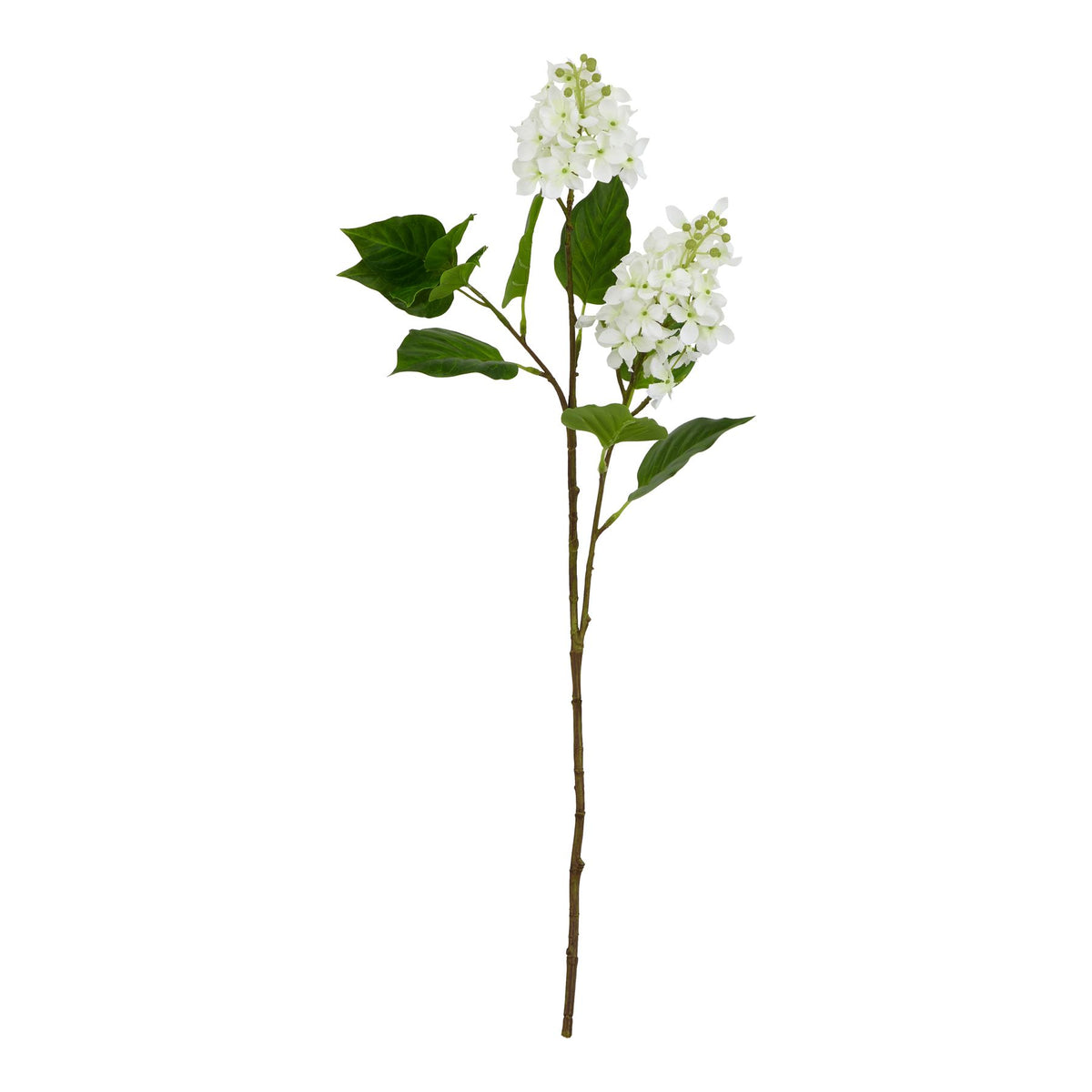 The Natural Garden Collection White Lilac Stem 75 cm