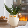 Autumn Plant Pot with Hedgehog 15cm