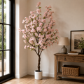 Large Ornamental Potted Cherry Blossom Tree 180cm